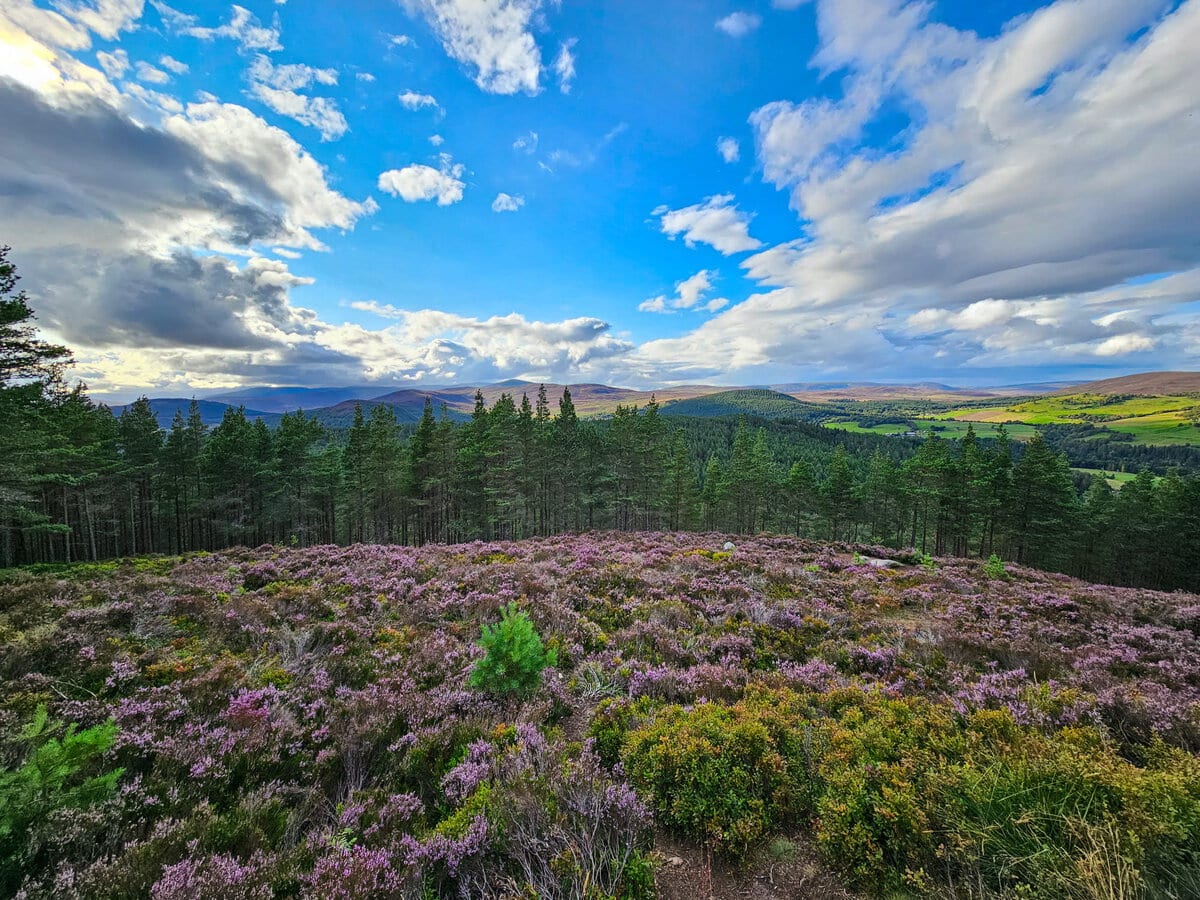 Aussicht auf den Cairngorms Nationalpark in Schottland von der Prince Albert Pyramide bei Balmoral