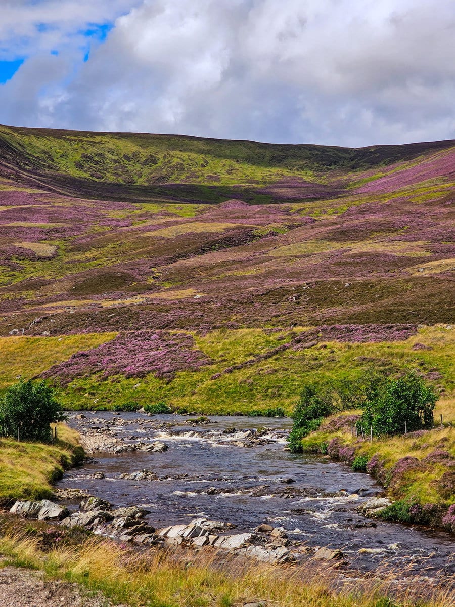 Die schönste Route durch den Cairngorms National Park: Glenshee