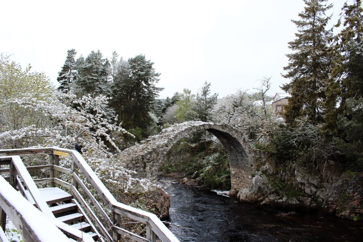 Schnee in den Cairngorms in Carrbridge