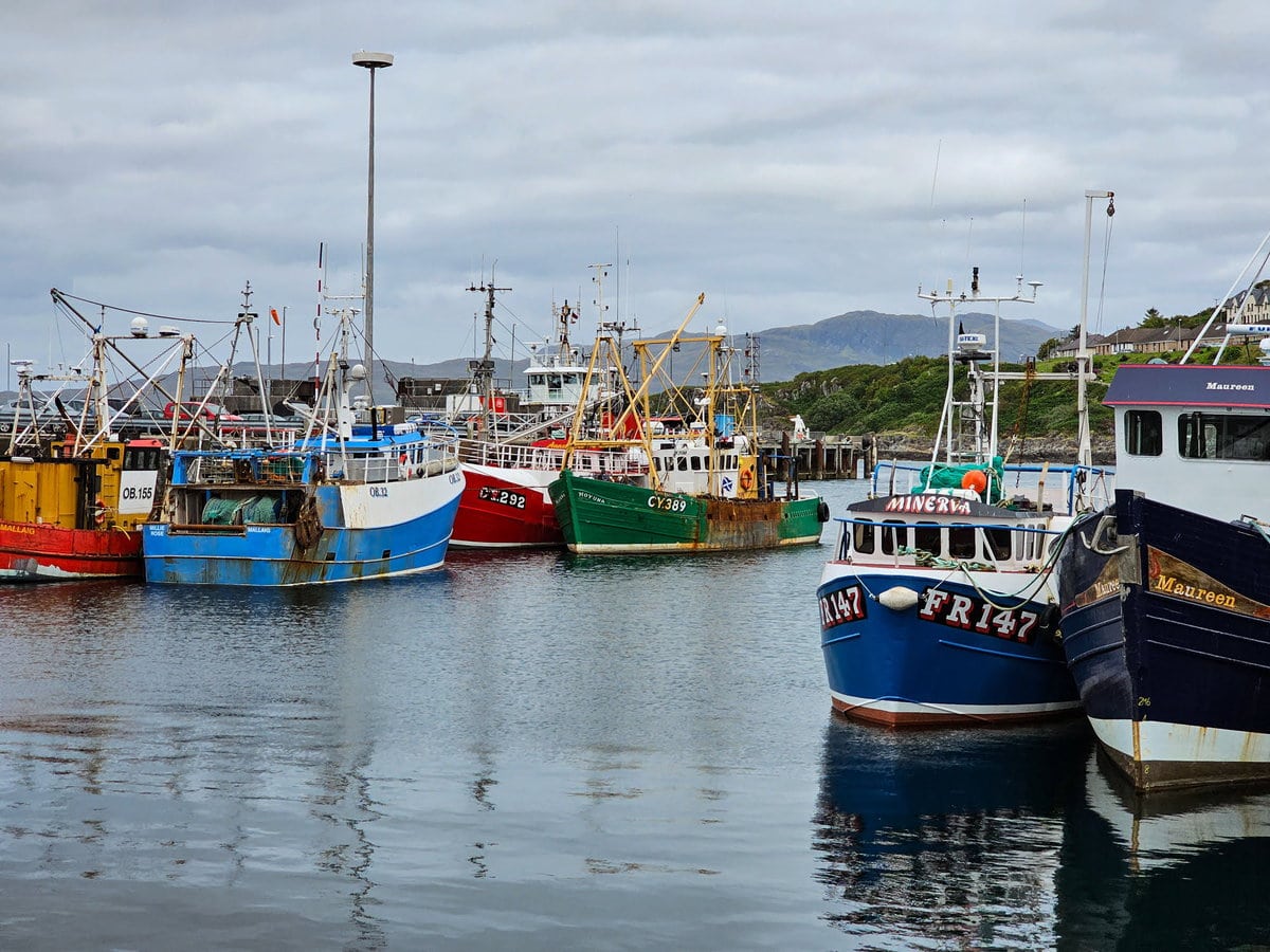Hafen von Mallaig an der Westküste von Schottland