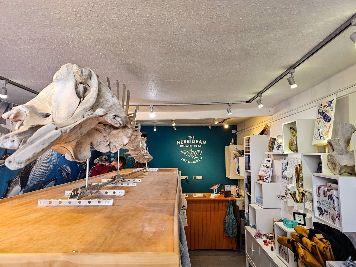 Wal Museum in Tobermory auf der Isle of Mull