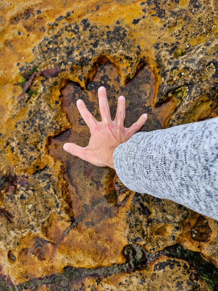 Dinosaurier Spuren und Fußabdrücke auf der Insel Arran