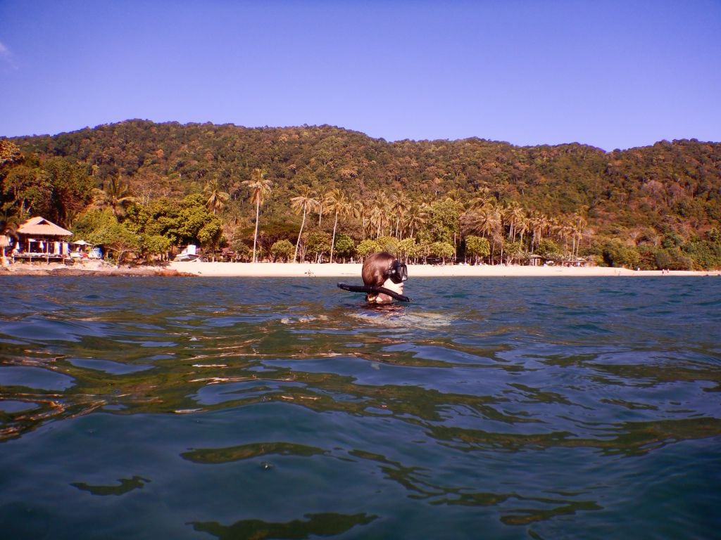 Schnorcheln am Bamboo Beach auf Koh Lanta