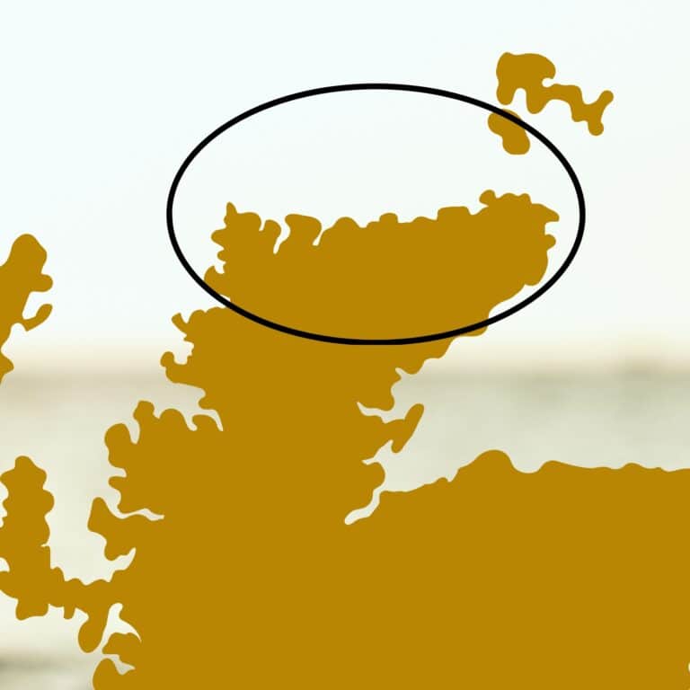 Nordküste von Schottland bereisen: Tipps und Erfahrungen aus erster Hand vom Schottland Experten-Team