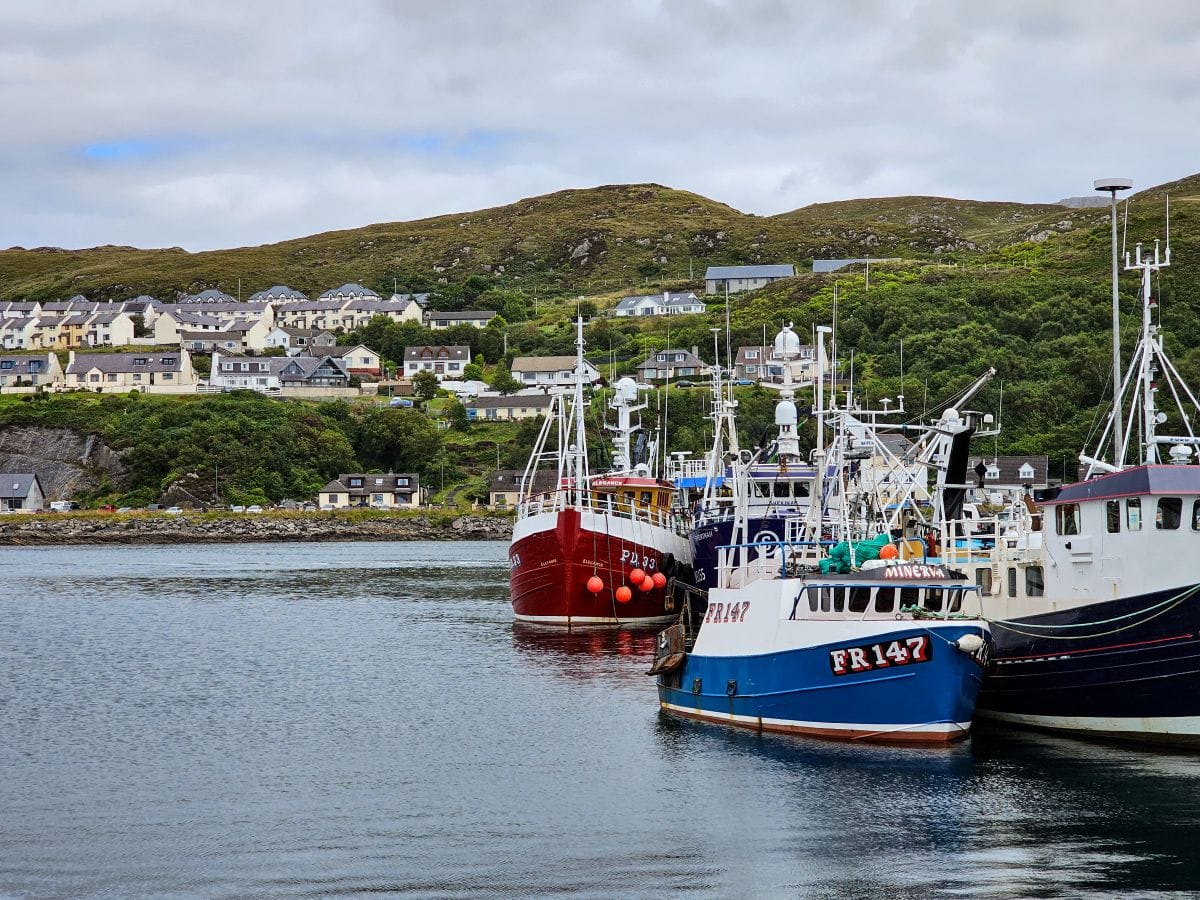 Tipps für den Ort Mallaig in Schottland