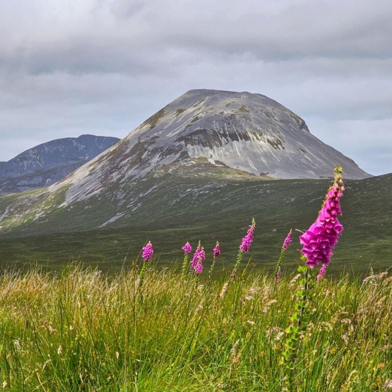 Unsere Erfahrungen und Tipps für deinen Besuch auf der Insel Jura in Schottland