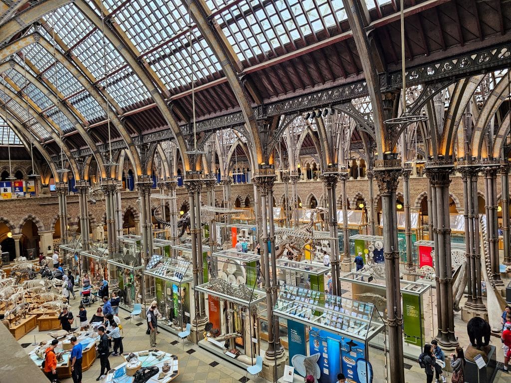 Das naturkundliche Museum in Oxford ist eine der wesentlichen Sehenswürdigkeiten der Stadt mit wichtigen Artefakten