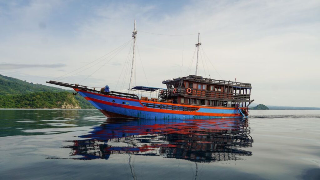 Tauchschiff in Sulawesi: Liveaboard und Tauchsafari
