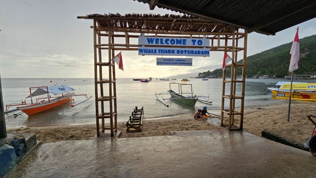 Erfahrungsbericht über "Whale Shark Gorontalo" in Botubarani auf Sulawesi