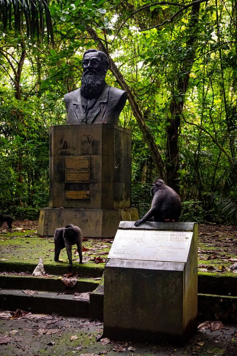 Denkmal für Alfred Russel Wallace, den Naturforscher, im Tangkoko Nationalpark auf Sulawesi