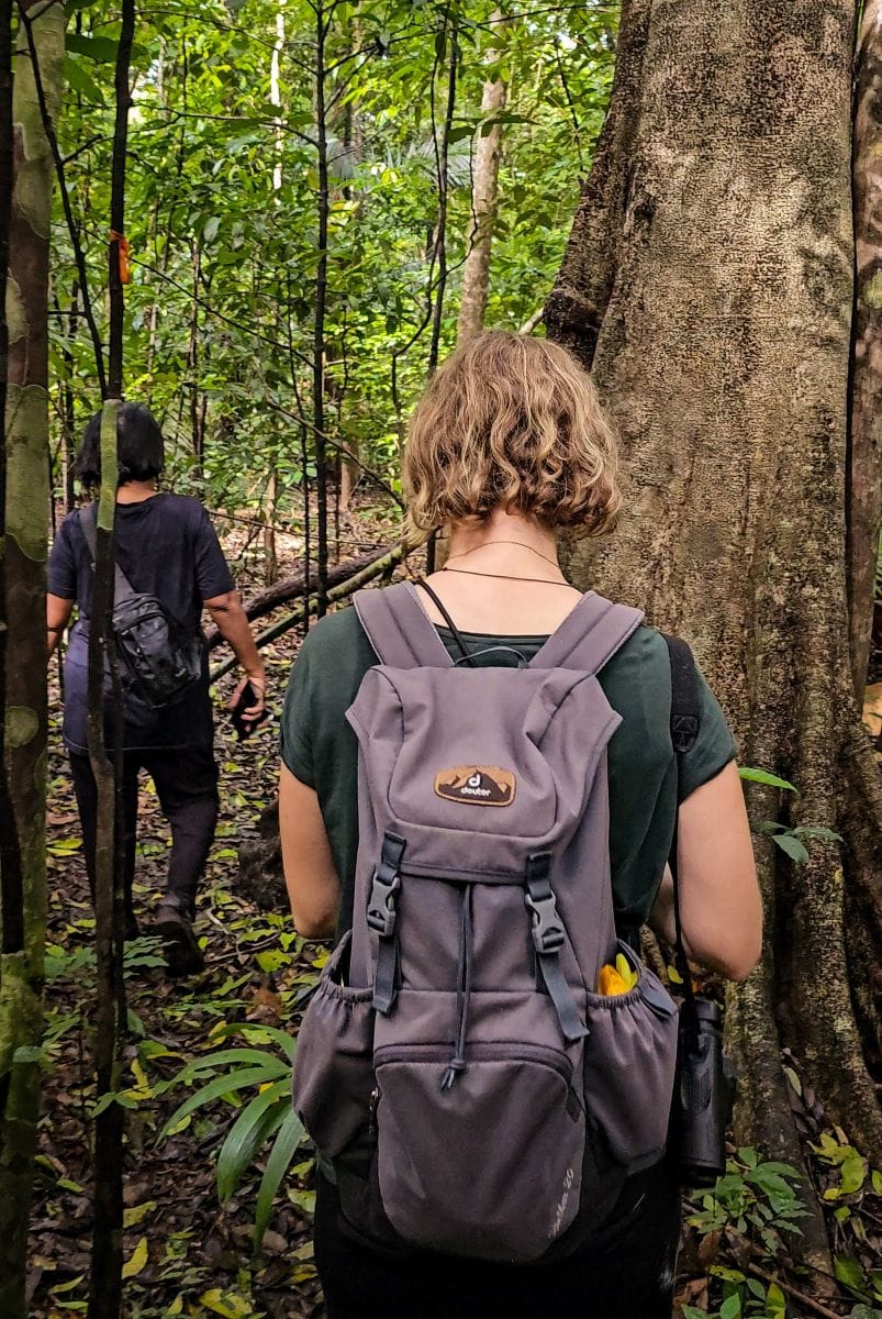Dschungelwanderung im Tangkoko Nationalpark auf Sulawesi