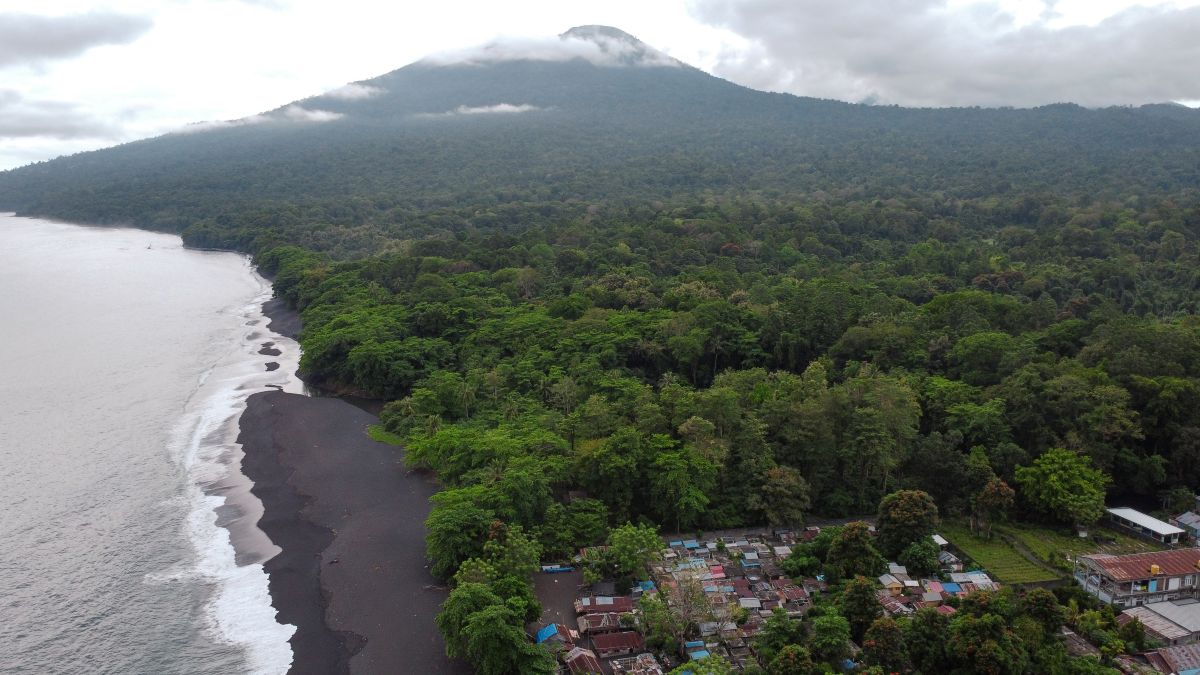 Infos und Überblick / Insider-Infos zum Tangkoko National Park