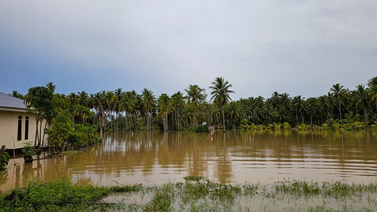 Regenzeit auf Sulawesi: Überflutungen und Straßensperrungen drohen