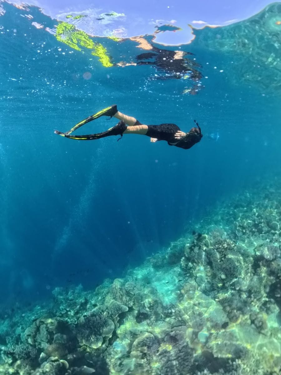 Schnorcheln vom Strand aus auf Bunaken