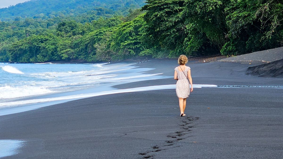 Tangkoko National Park: Unsere Erfahrungen zur Reiseplanung auf eigene Faust