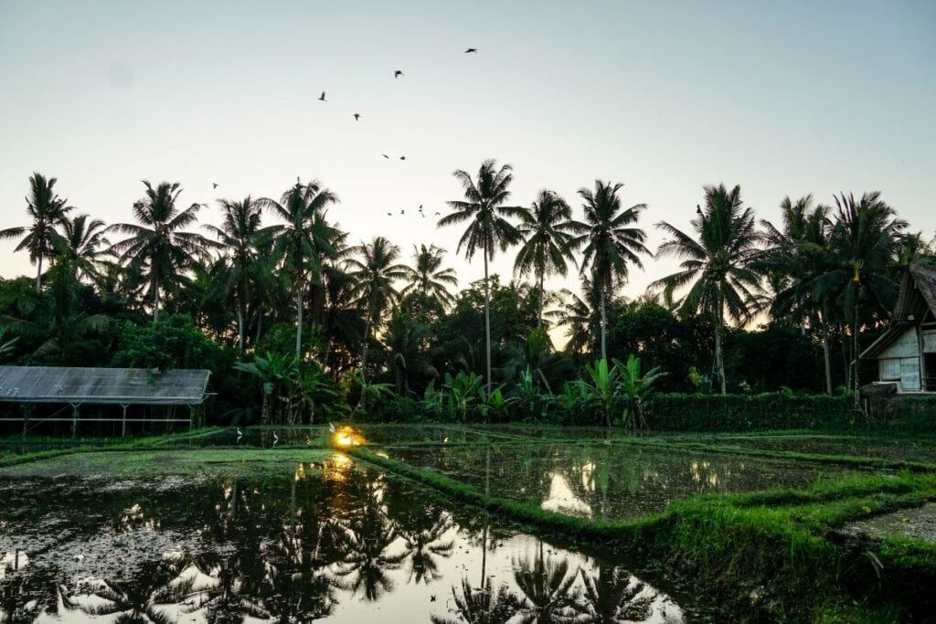Das Ende des Bali-Traums: Vor der Heimreise nach Deutschland nach einer langen Reise