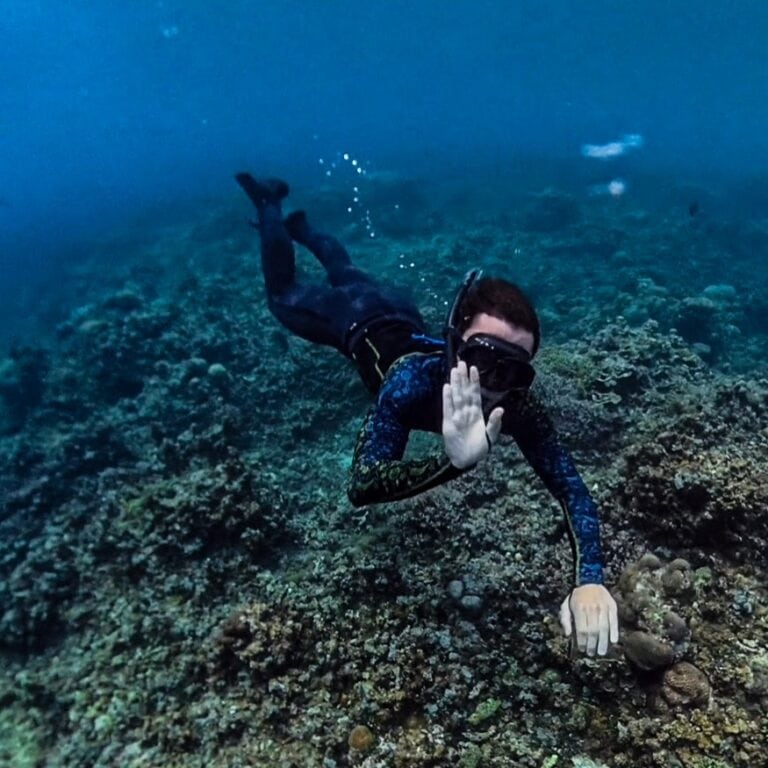 Unsere Tipps und Erfahrungen zum Schnorcheln in Amed auf Bali