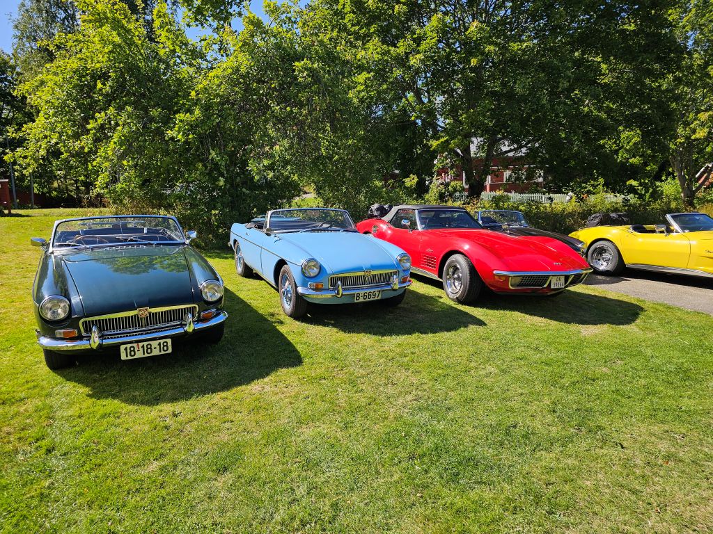 Sportwagen in Schweden