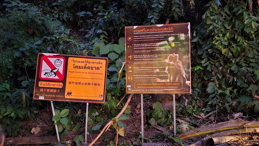 Monkey Trail in Ao Nang