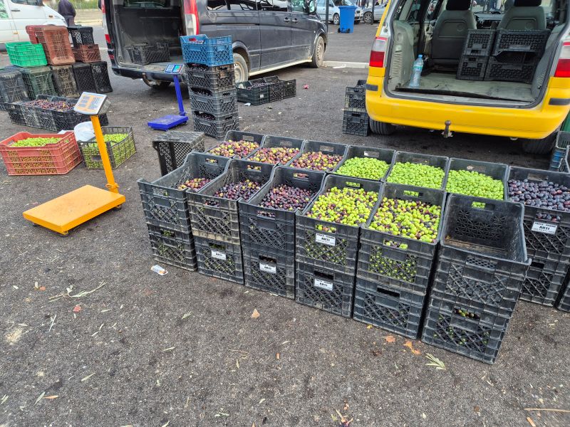 Freiluftmarkt von Berat