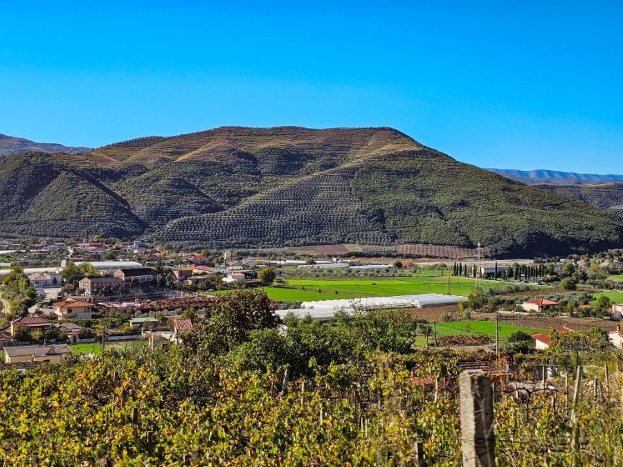 Die Region Berat: Fruchtbares Land, Weinanbau und Olivenhaine