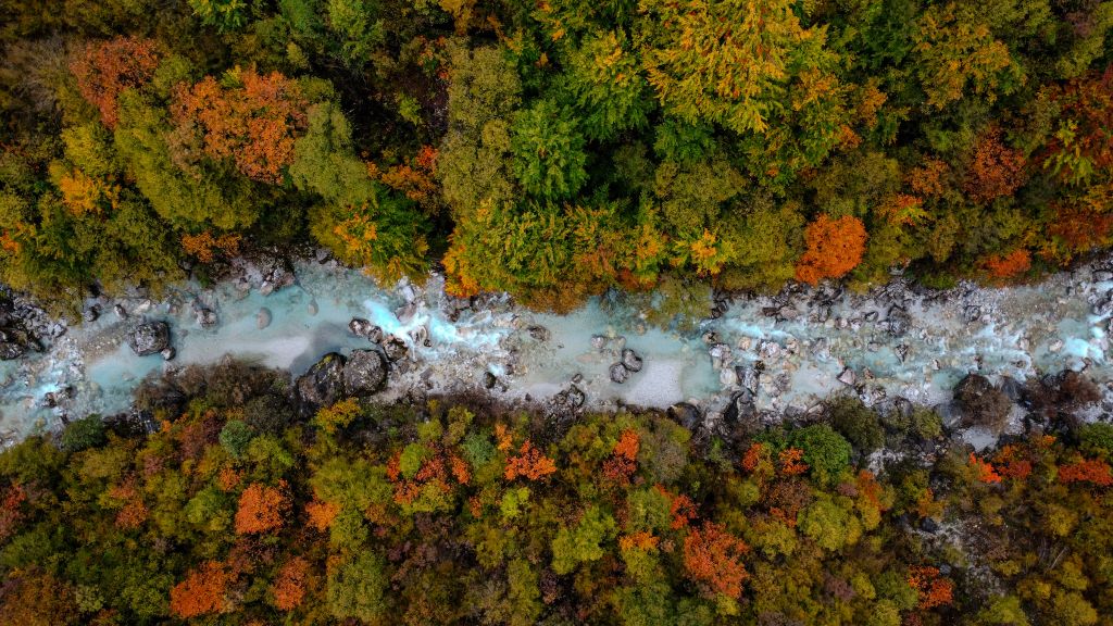 Der Fluss Valbona im Valbona tal in Albanien