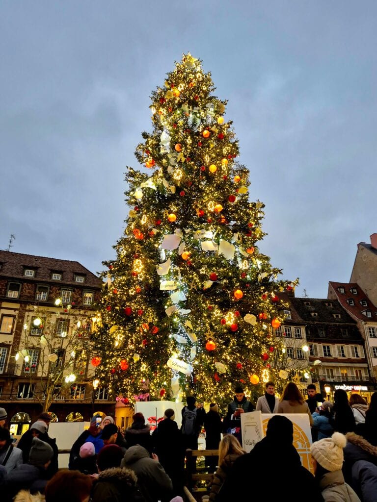 großer geschmückter Weihnachtsbaum in Straßburg, Elsass
