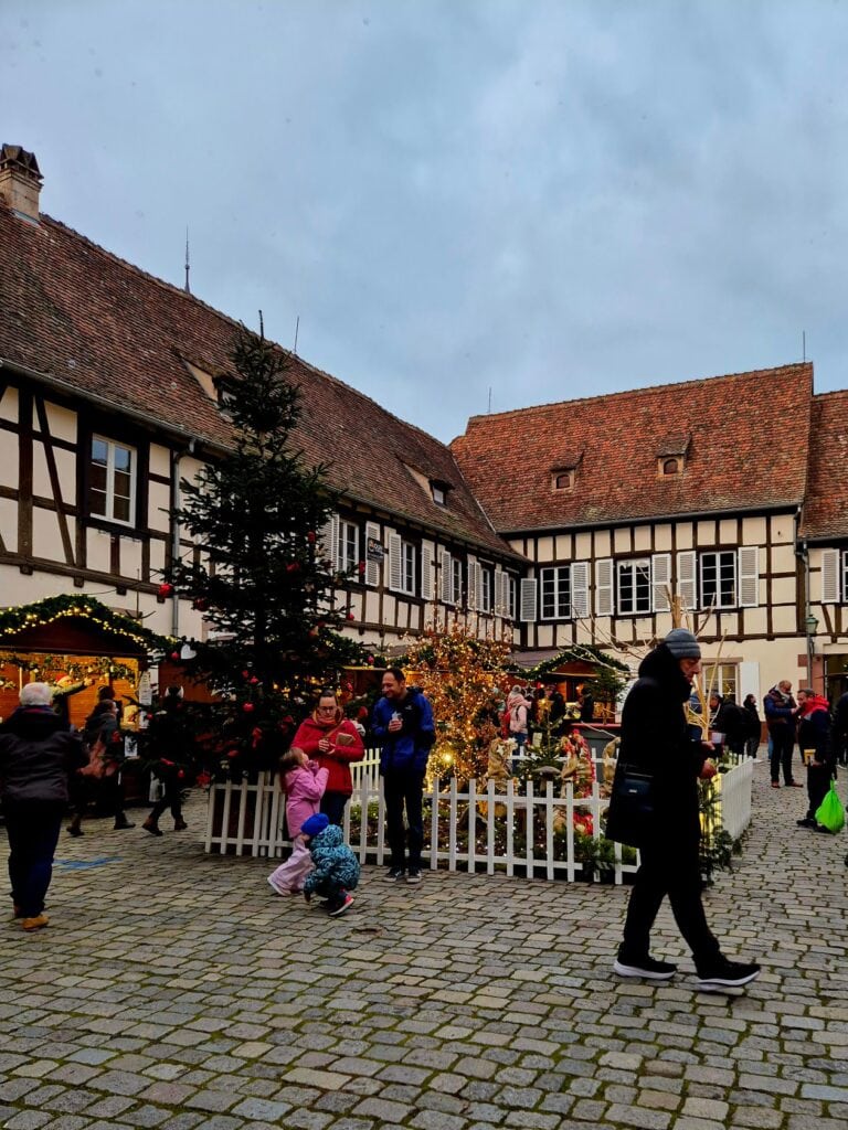 Authentischer Weihnachtsmarkt in Barr, Elsass, mit Weihnachtsbaum