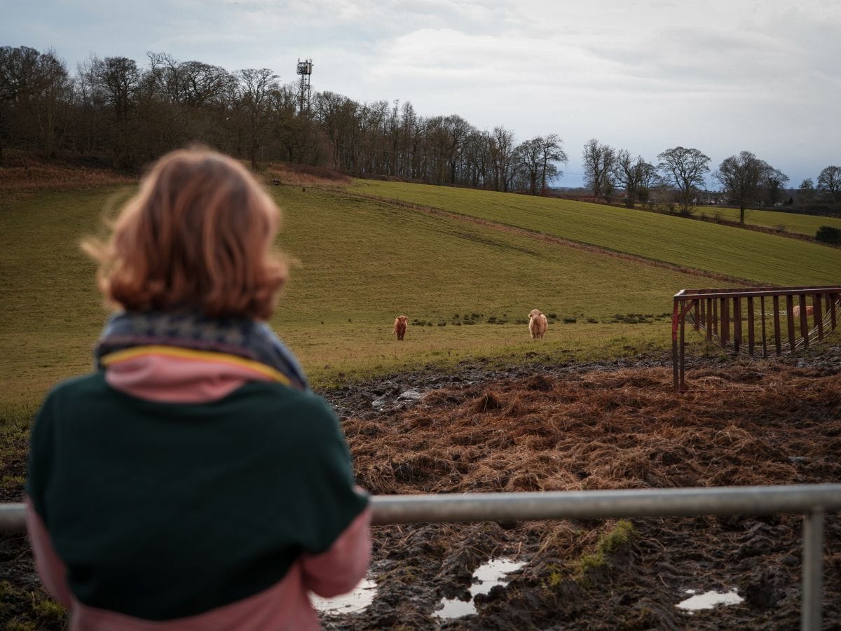 Highlandrinder in Schottland sehen: Unsere persönlichen Tipps, wo man die Kühe auf jeden Fall sieht