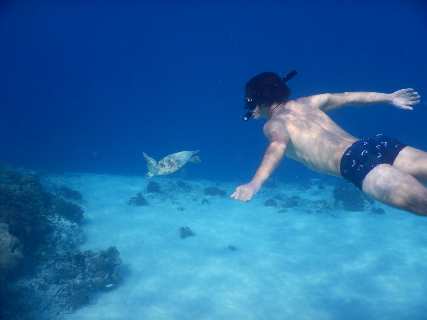 Ausflug zum Schnorcheln ab Koh Lanta nach Koh Rok