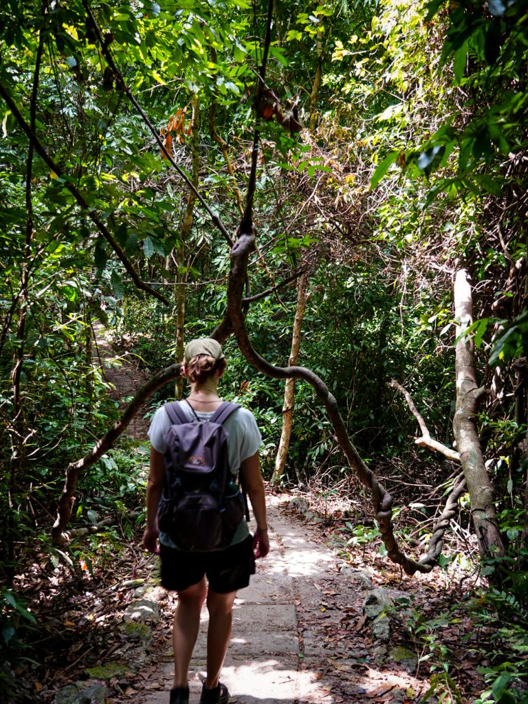 Dschundel-Pfad im Mu Ko Lanta Nationalpark