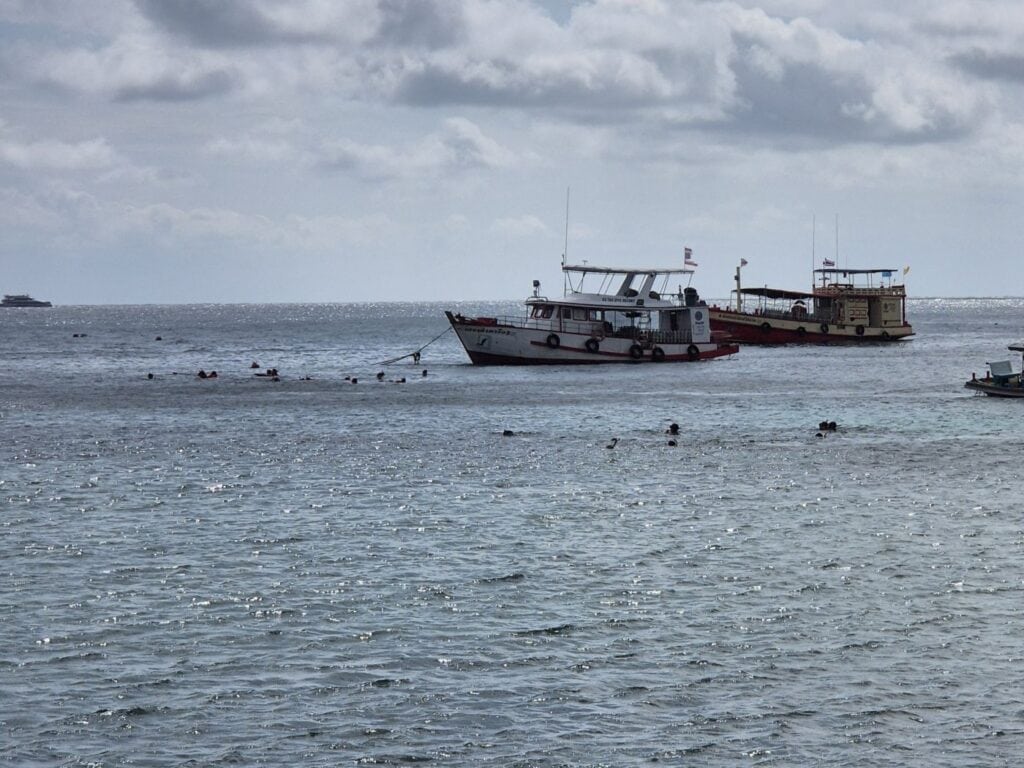 Ausflugsboote vor Koh Tao, im Wasser: Schnorchelgruppen die sich auf einem Fleck versammeln um eine Schildkröte zu sehen