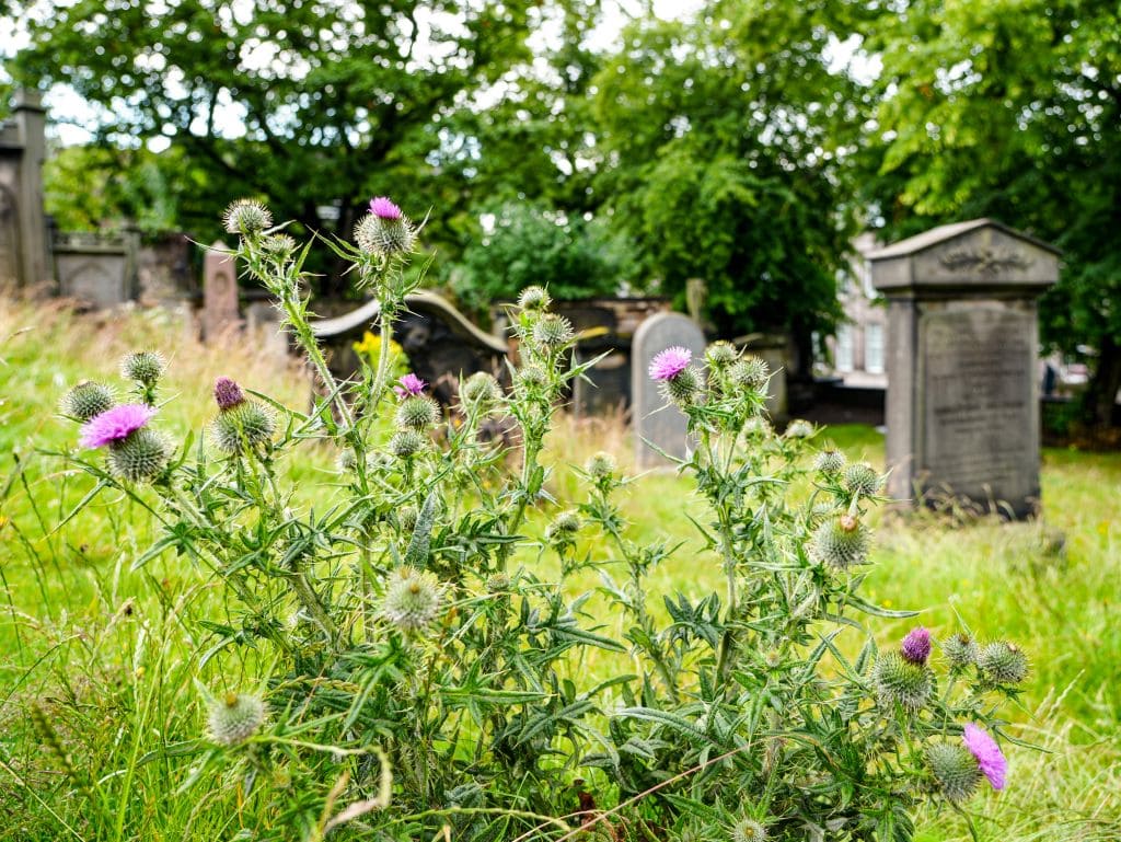 Old Calton Burial Ground