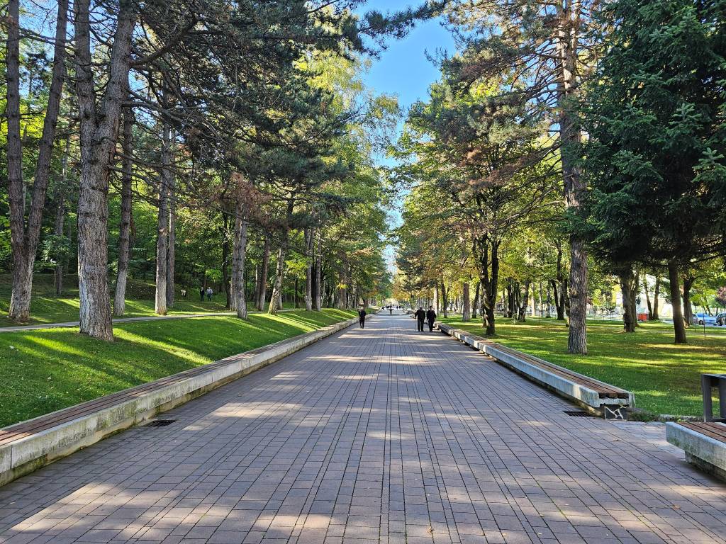 Parku Rinia in Korca