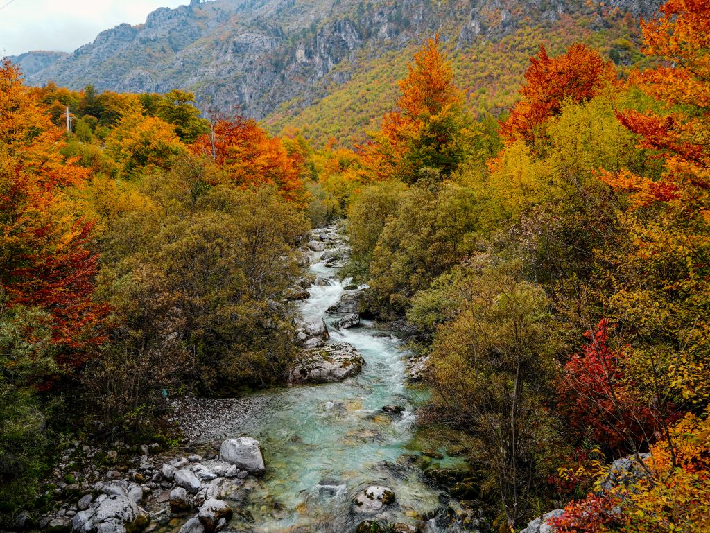 Fluss Valbona im Valbona Tal in Albanien