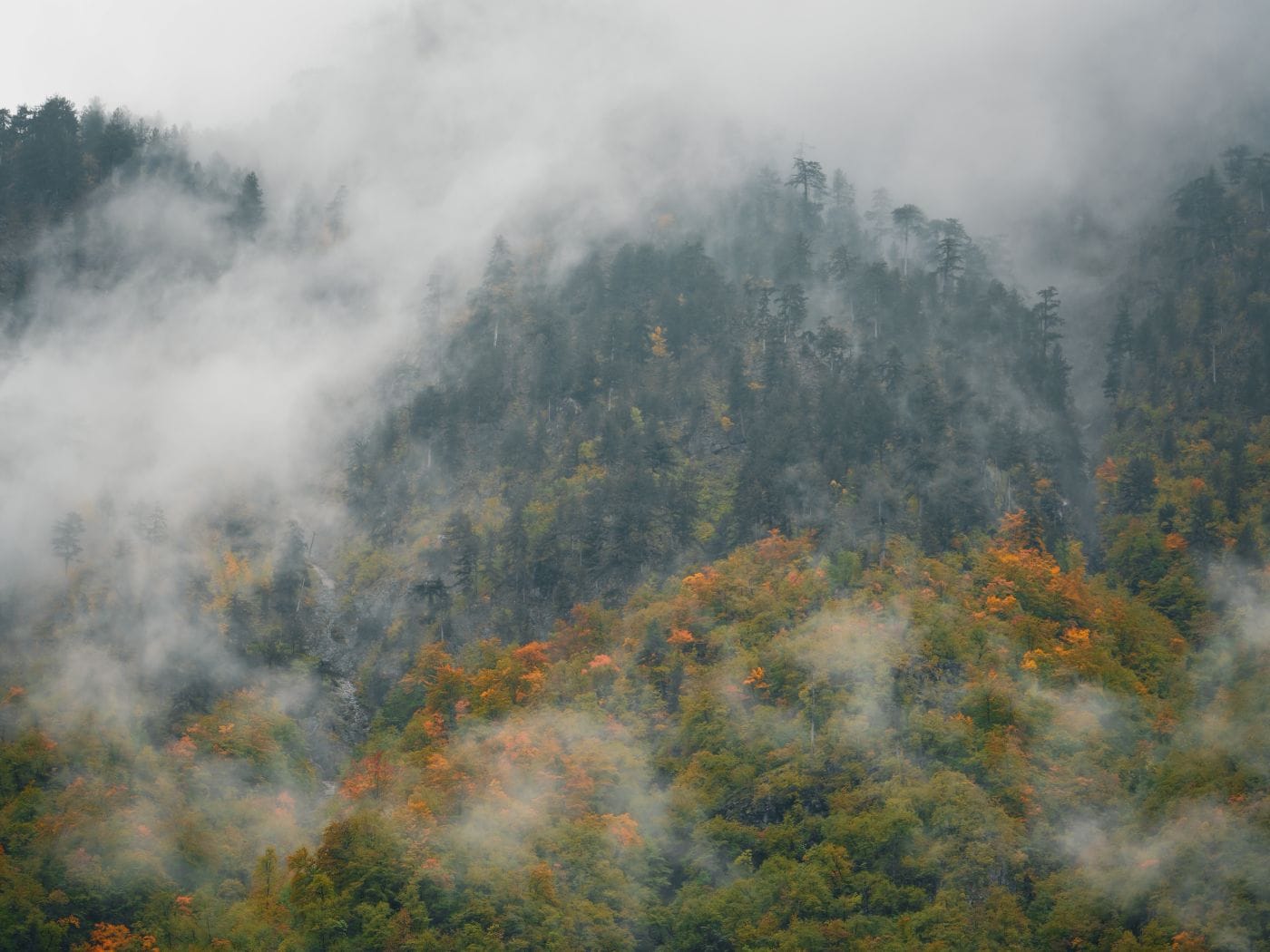Wolken und Nebel im Valbona Tal