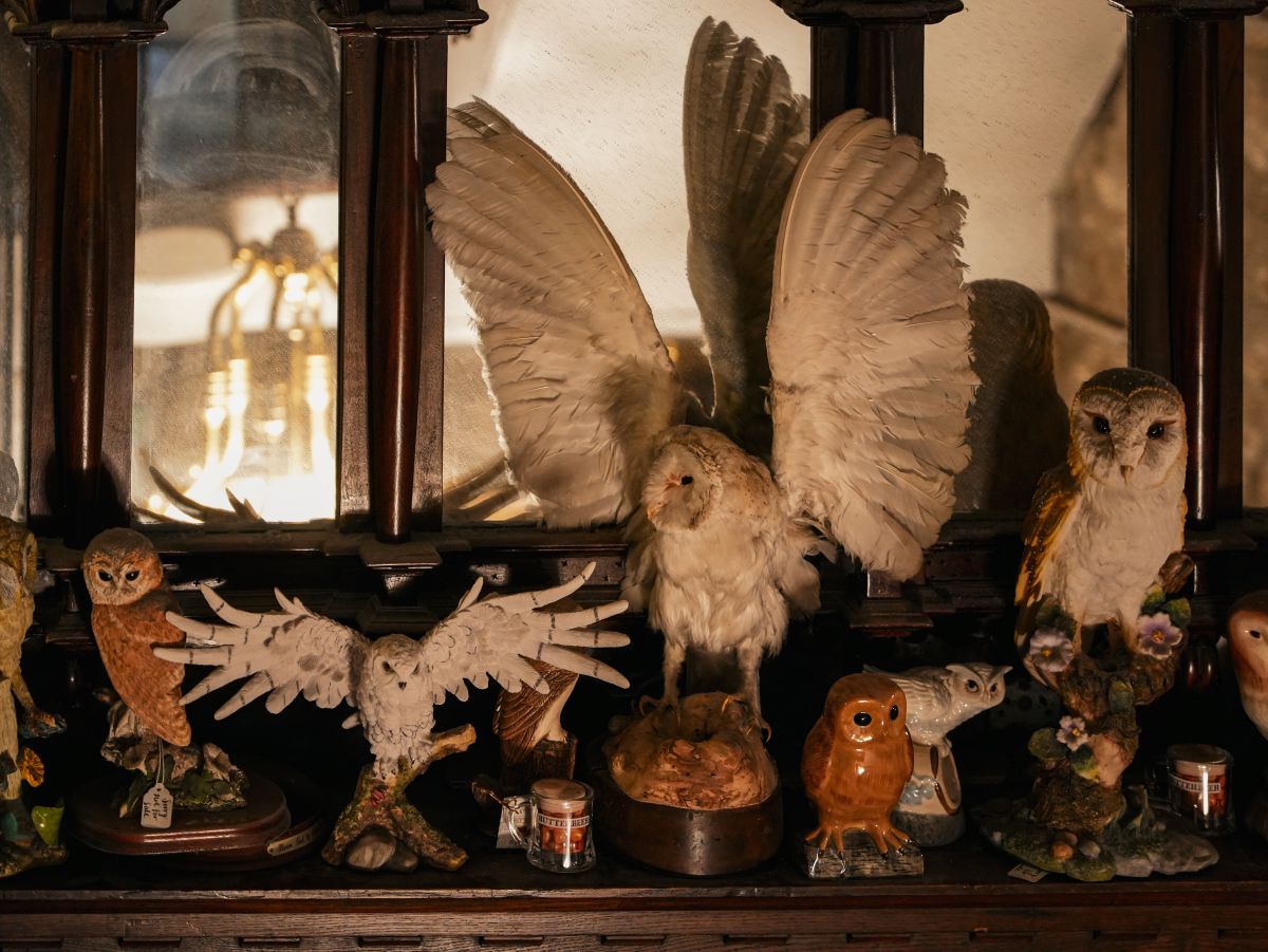 Eulenfiguren im Museum Context in Edinburgh, einem Harry Potter Fanshop