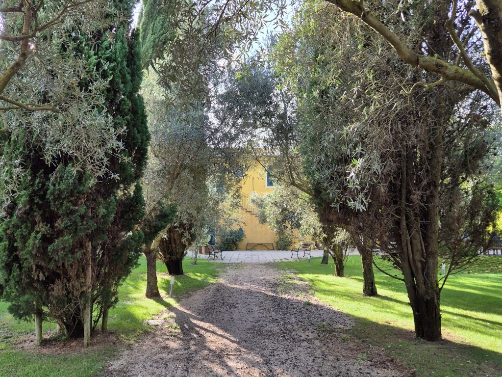 Weingut nahe Alghero