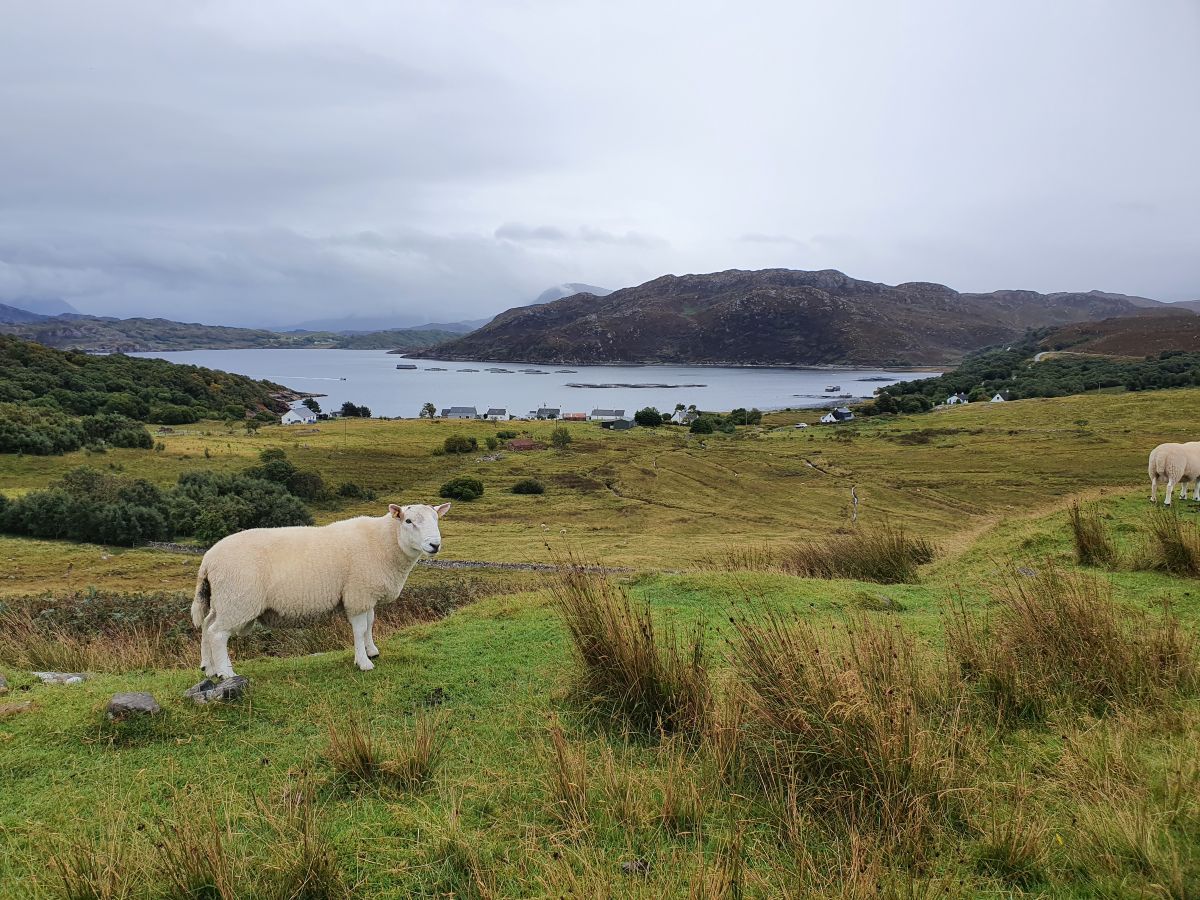 Die Region Gairloch in Schottland