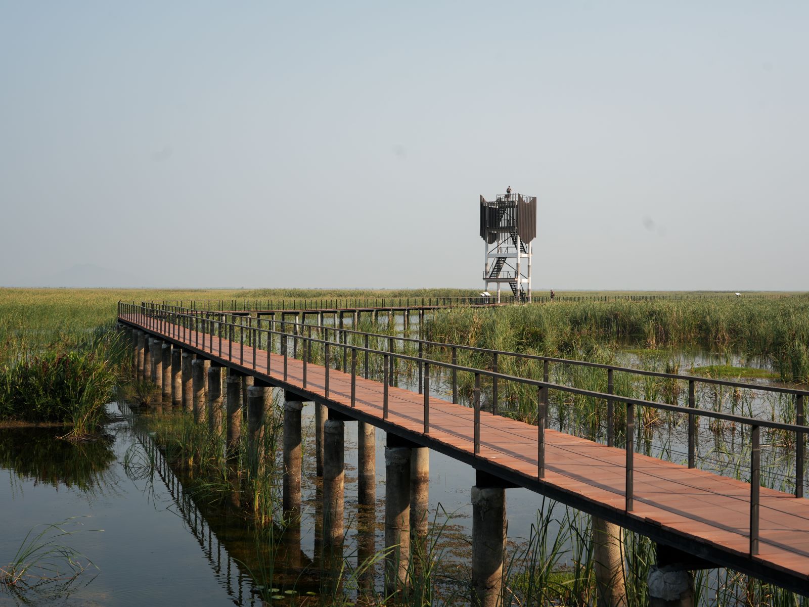 Aussichtsturm am Bueng Bua Boardwalk