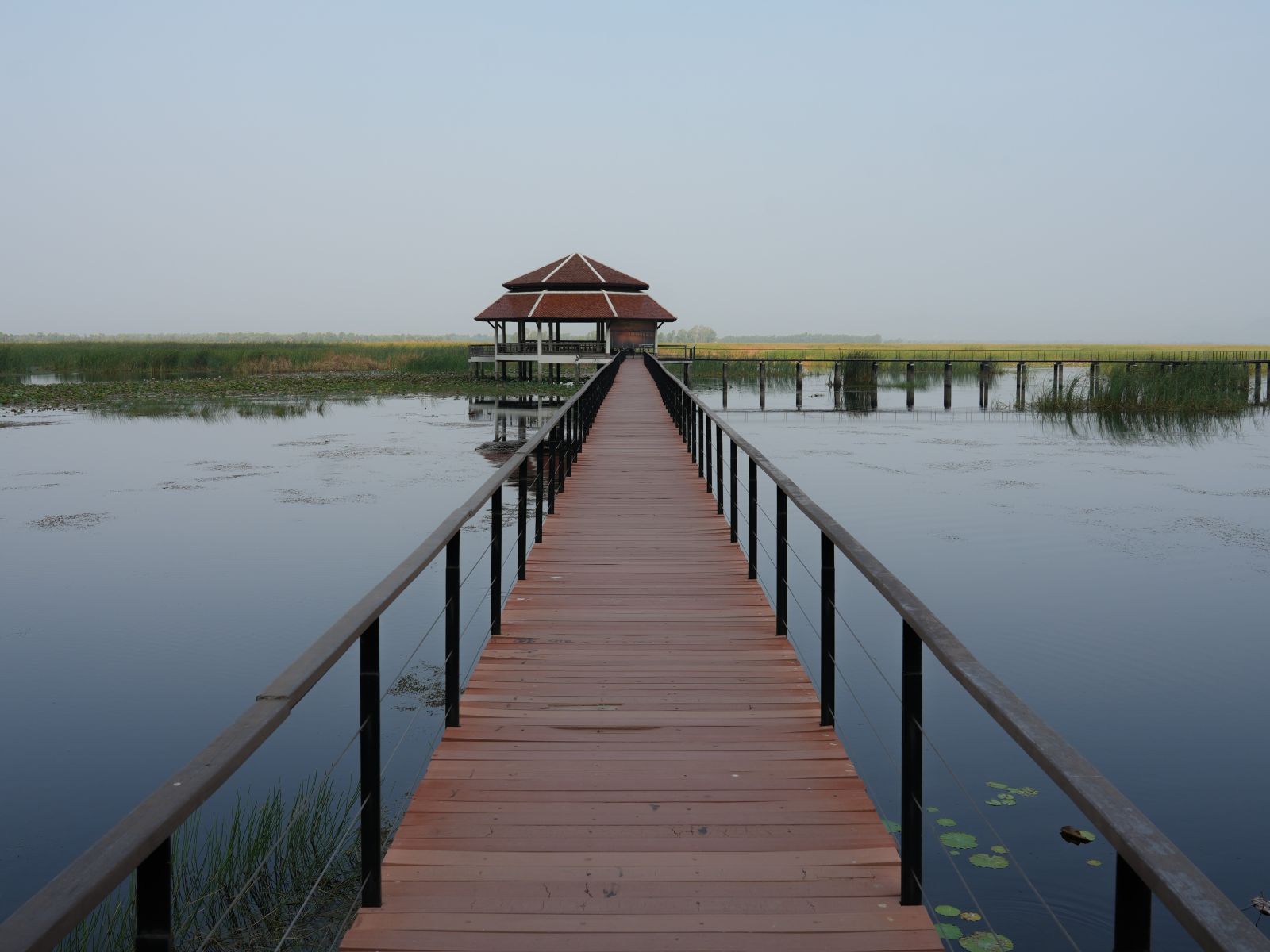 Bueng Bua, Thailand