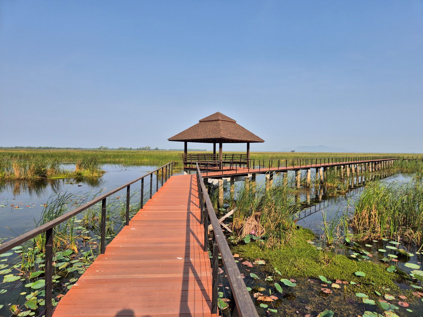 Wenig Schatten auf dem Bueng Bua Boardwalk