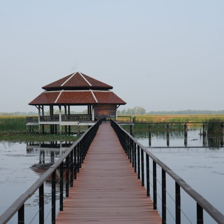 Informationen, Tipps und Erfahrungsbericht zum Bueng Bua Boardwalk im Khao Sam Roi Yot Nationalpark in Thailand, Provinz Prachuap Khiri Khan