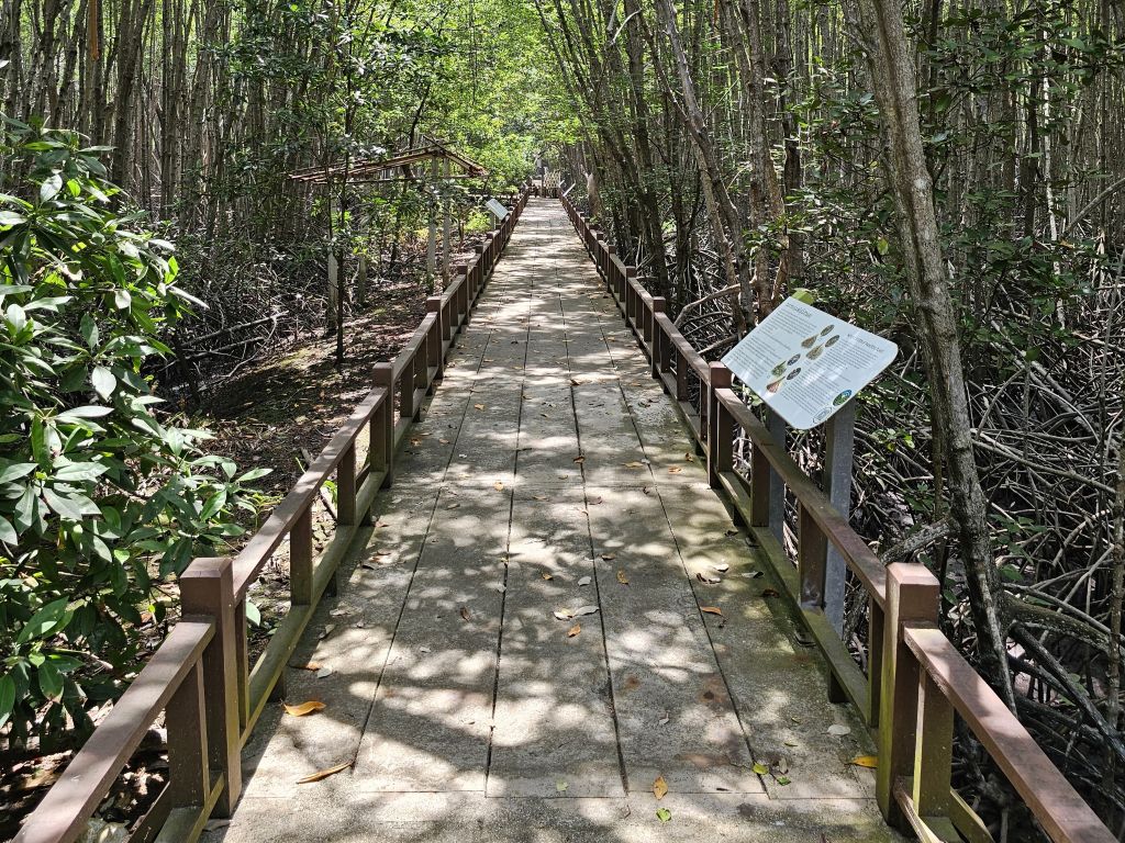 Sirinart Rajini Mangrove Park in Pran Buri, Thailand