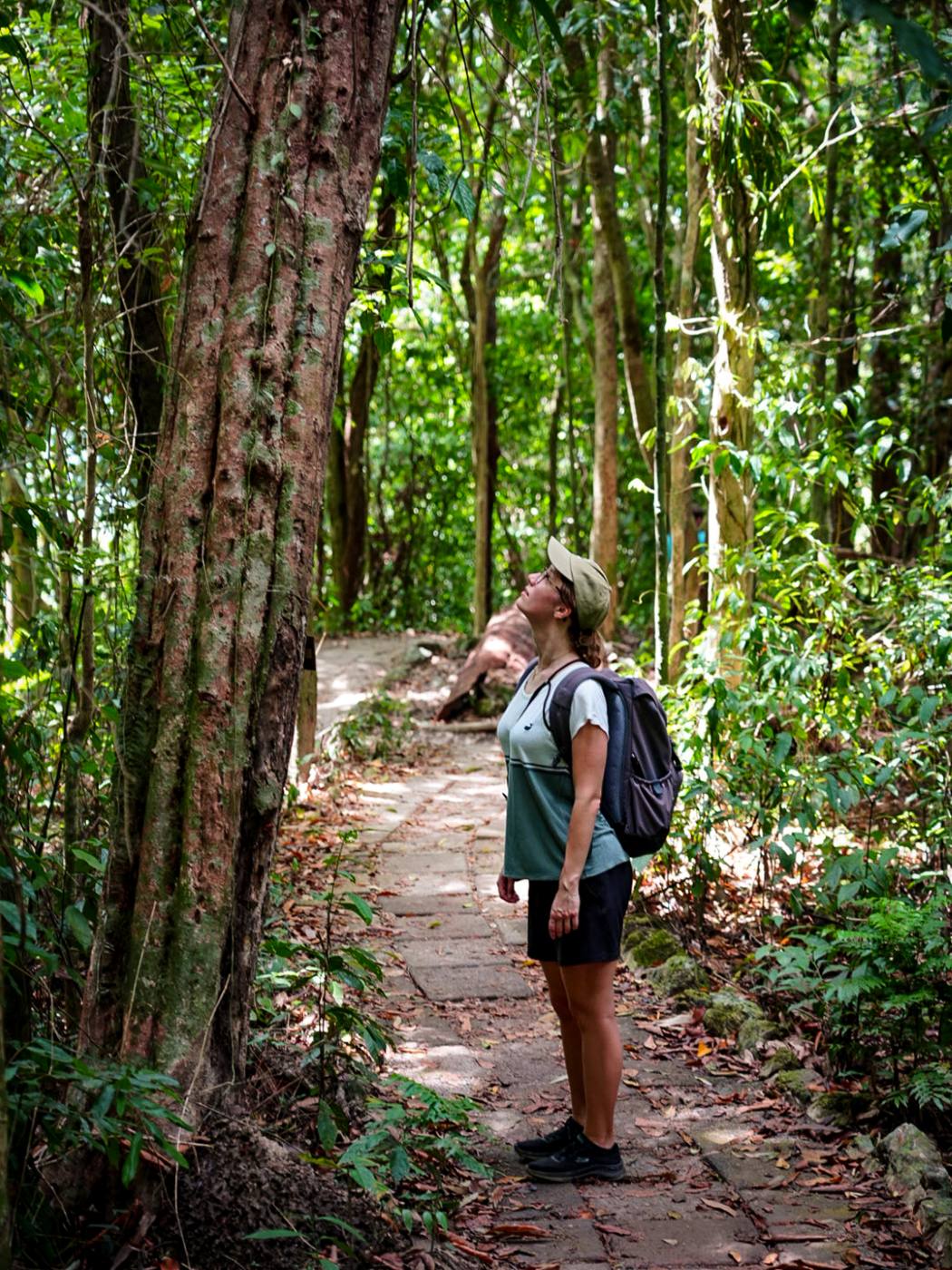 Wanderung Rundweg Mu Koh Lanta Nationalpark
