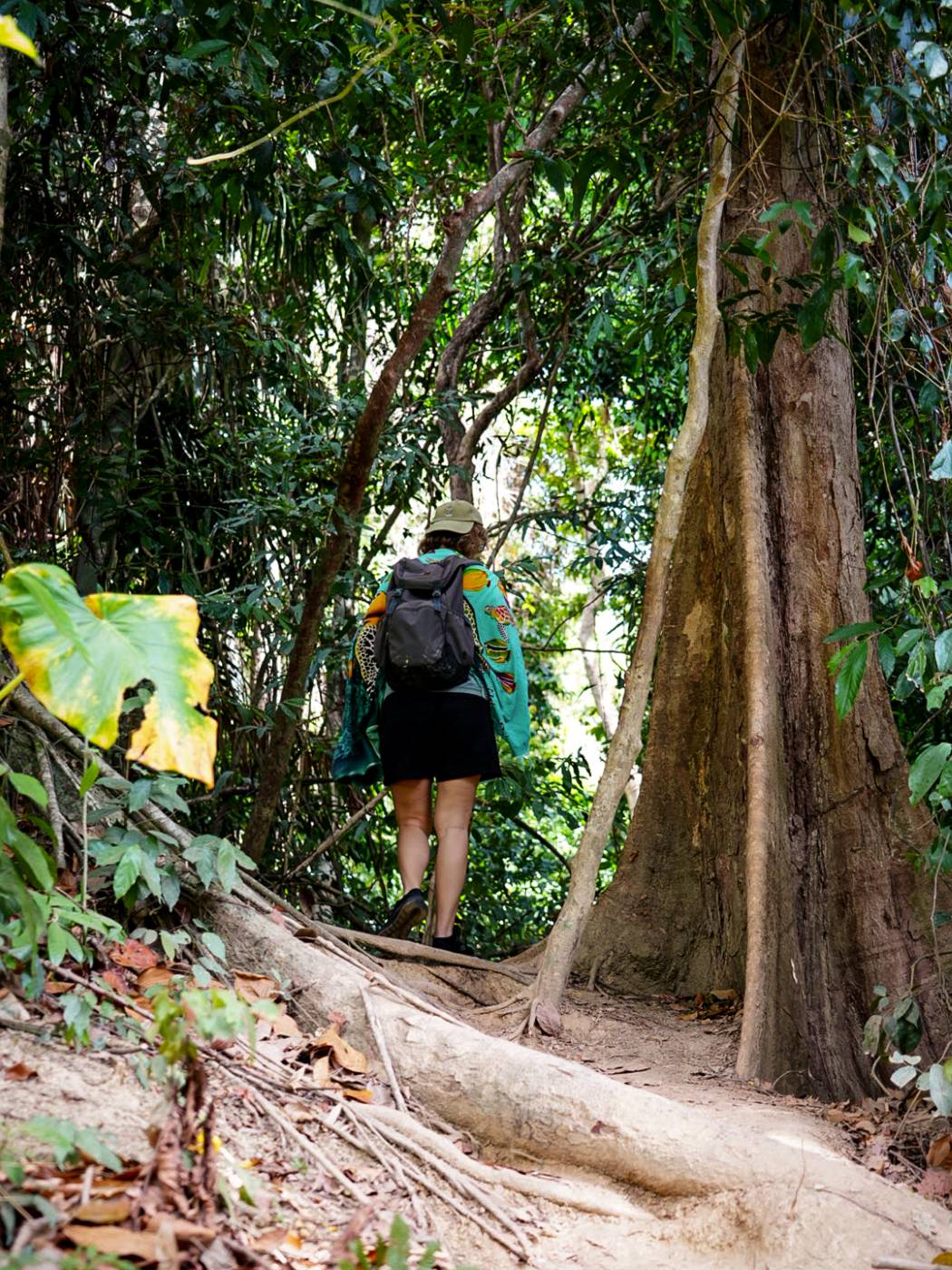 Wanderung Rundweg Mu Koh Lanta Nationalpark