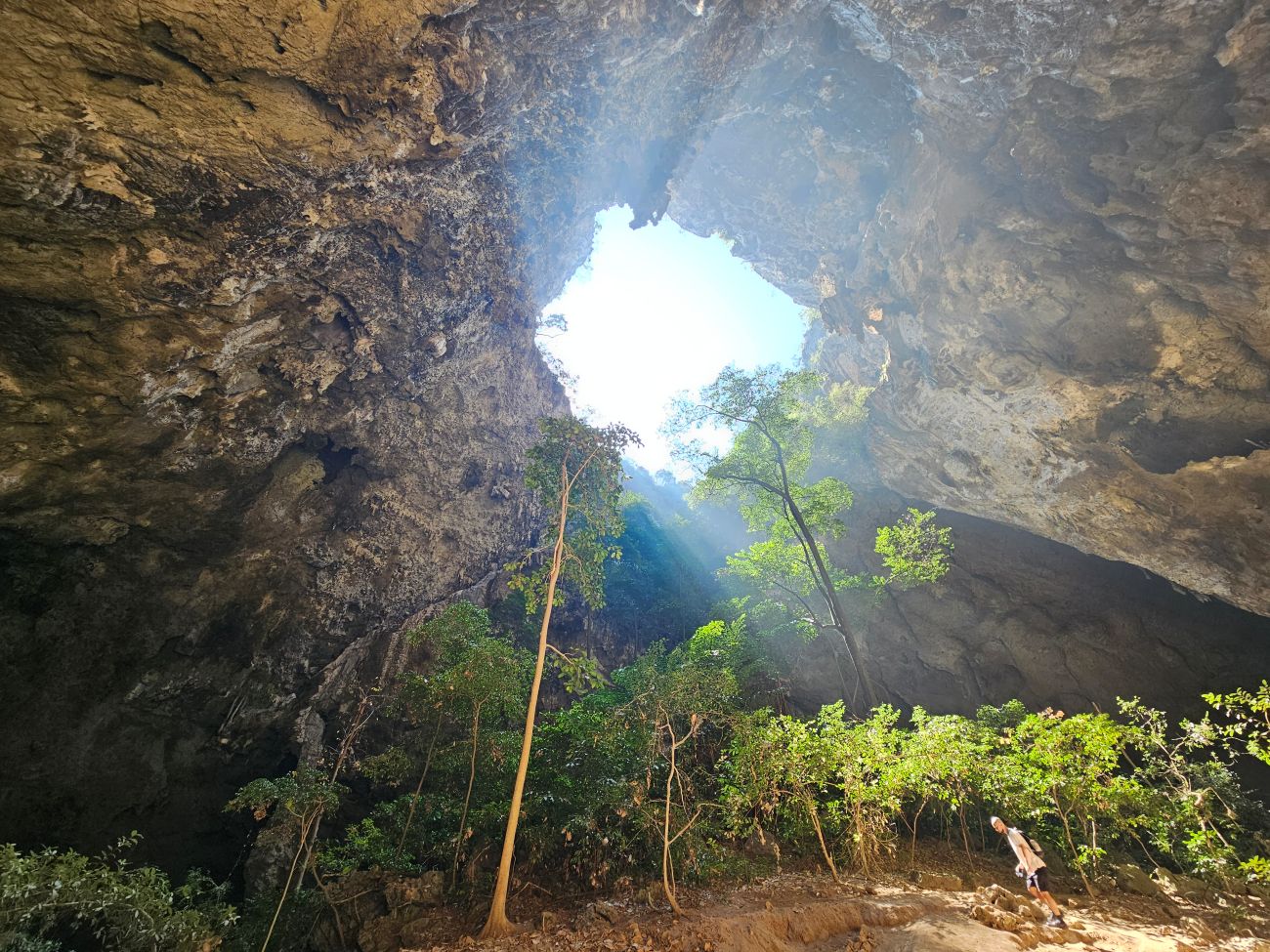 Phraya Nakhon Cave: Im inneren wachsen Bäume