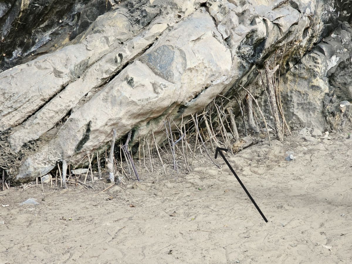 Stöcke, die unter einen Felsen gestellt wurden, als würden sie ihn stützen, in Thailand, Khao Kalok Pran Buri