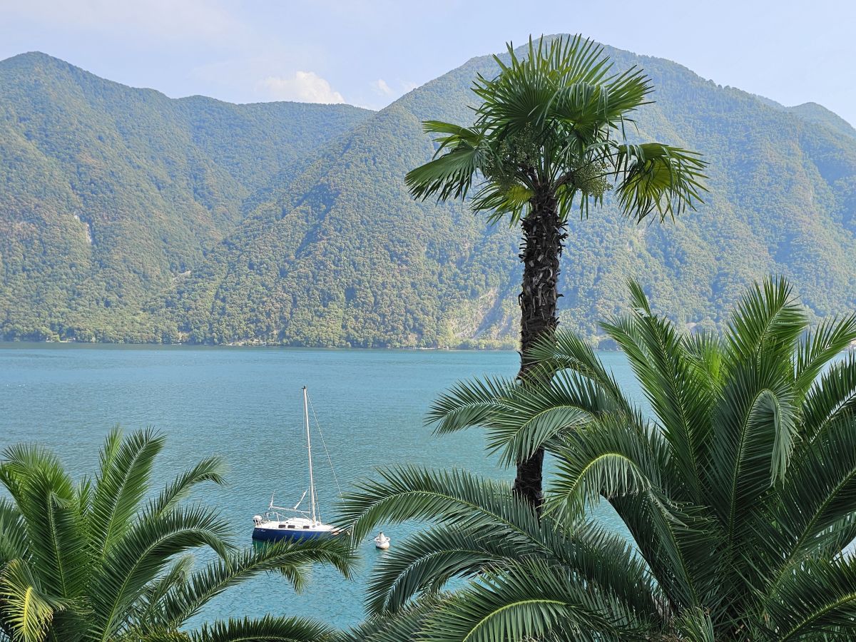 Boot auf dem Luganersee mit Palmen und Bergen
