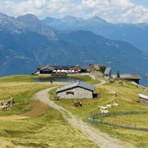Informationen, Tipps und Erfahrungen zum Besuch auf dem Monte Tamaro